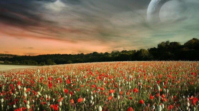 婆婆总说“你妈也不教你”，怎么回复？